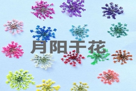 重庆趣浪网络科技有限公司形象图
